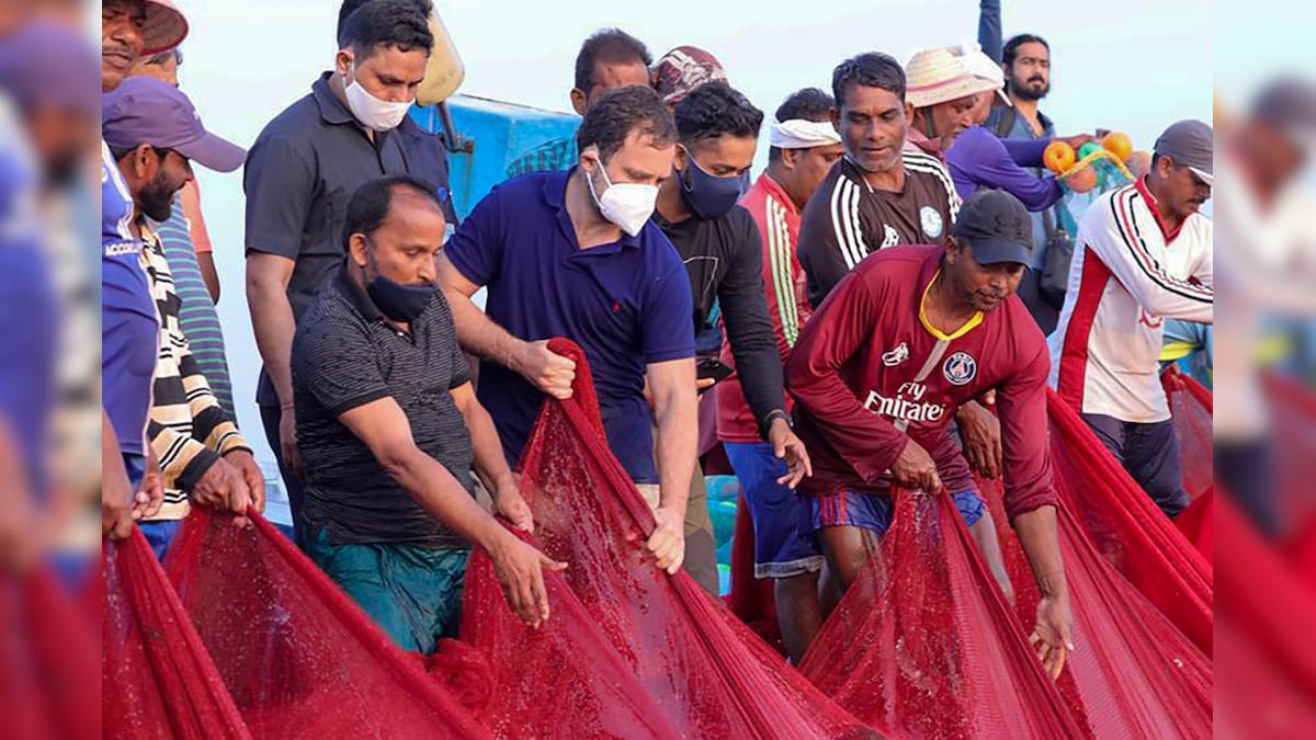 I Admire What You Do: Congress Leader Rahul Gandhi Tells Fishermen of Kerala, Sails with Them