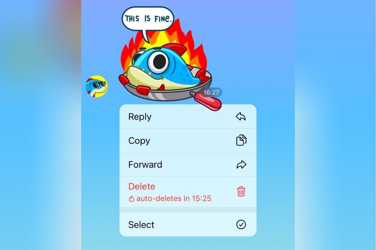 Telegram Users Can Now Send Messages With Auto-Delete Timer, New Animated Emojis: Here's How