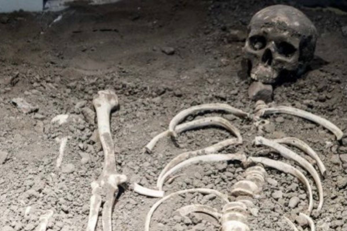 Skeleton Dating Back to 4.4 Million Years Ago Gives New Insights ...