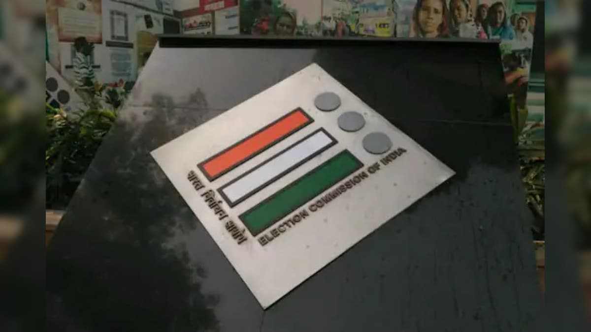 Importance of election essay picture