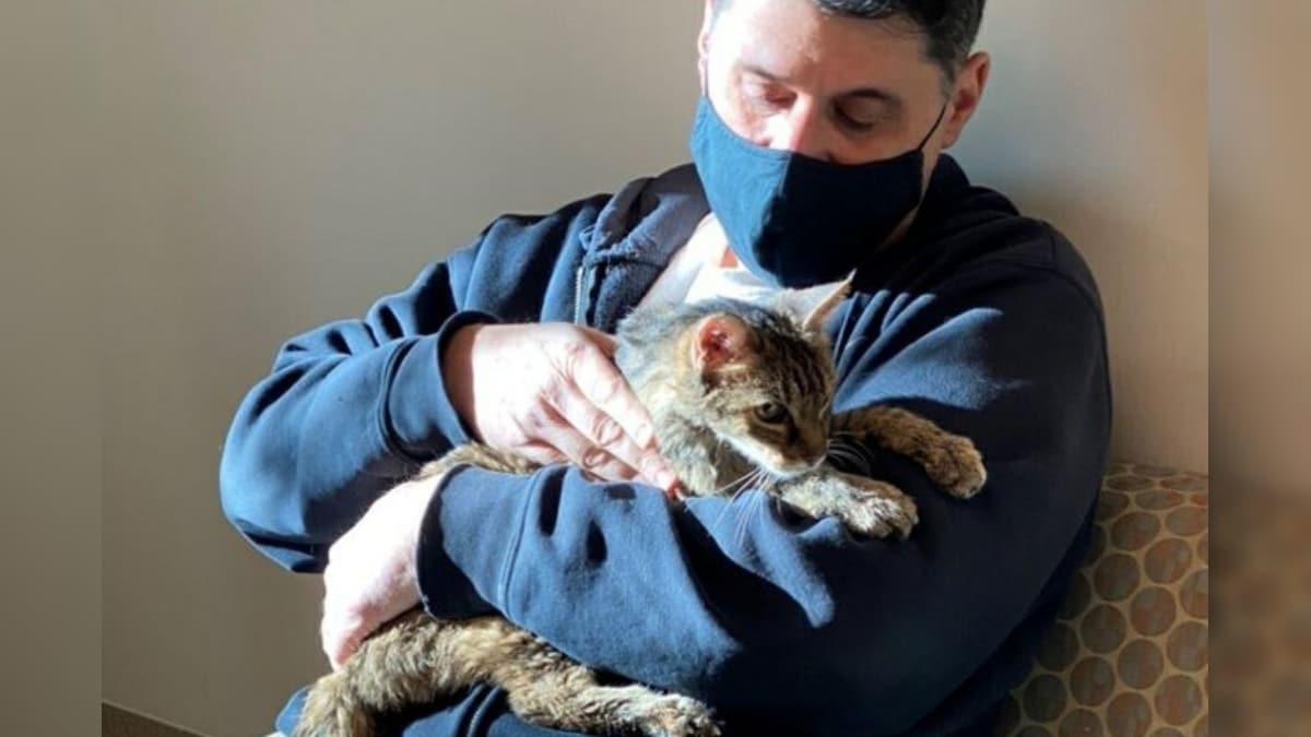 'One in a Million Chance': Cat Reunites With Owner After Going Missing Over 15 Years Ago