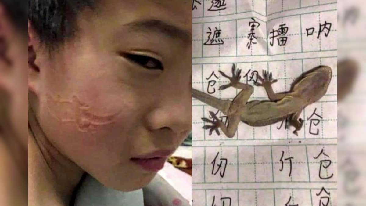 Boy Dozes off on Lizard While Doing Homework, Wakes up With Reptile Impression on His Face