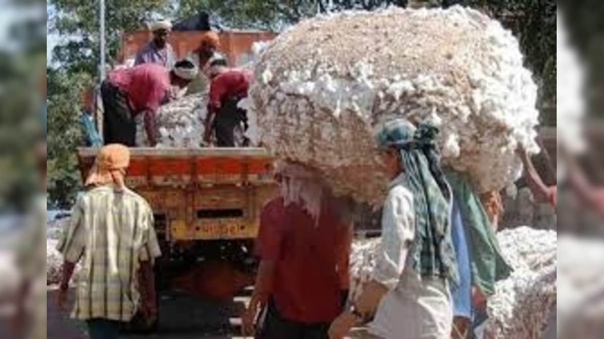 Pakistan May Resume Import of Cotton from India: Report