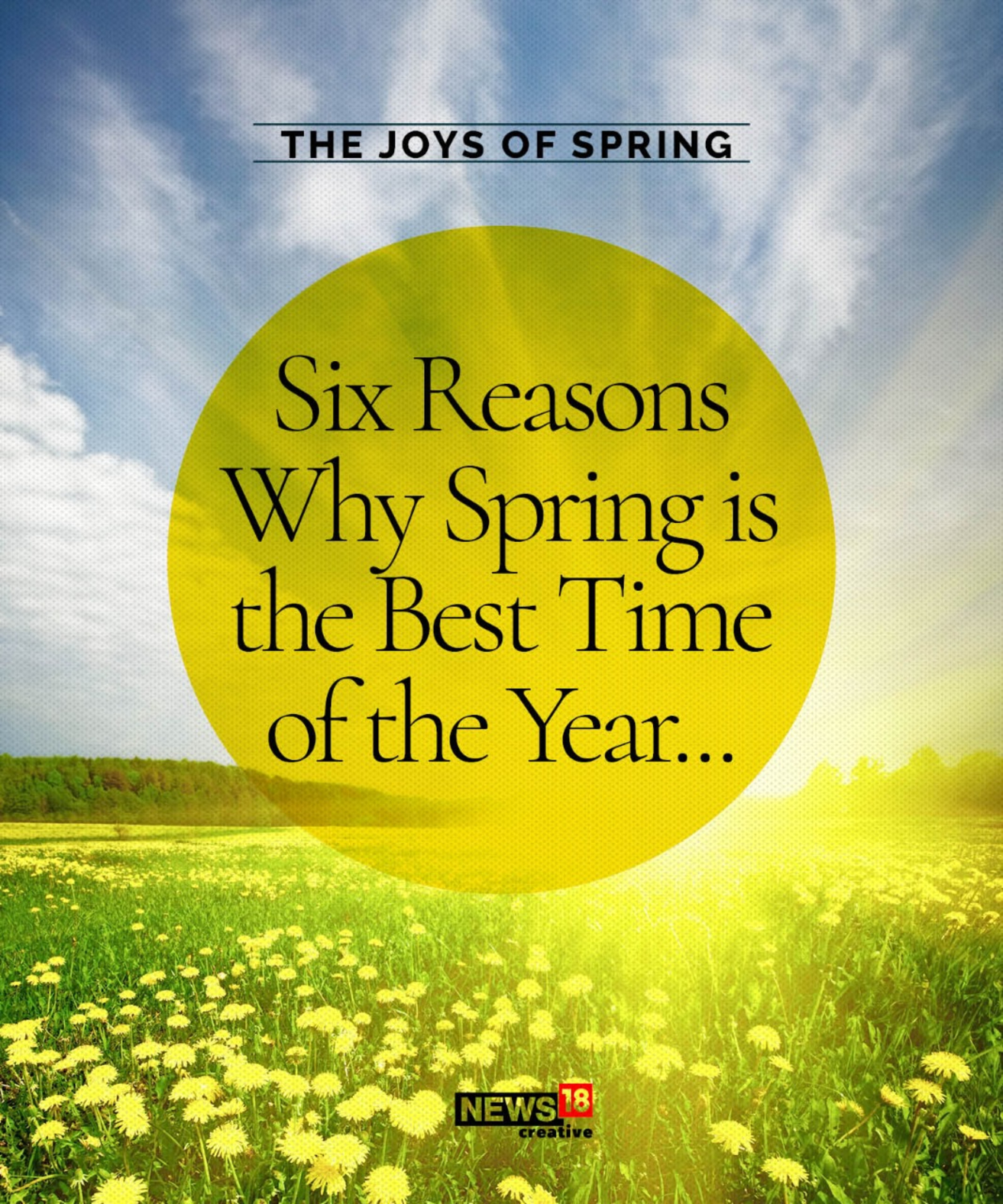 6 Reasons Why Spring Is The Best Time Of The Year, See Pics - News18