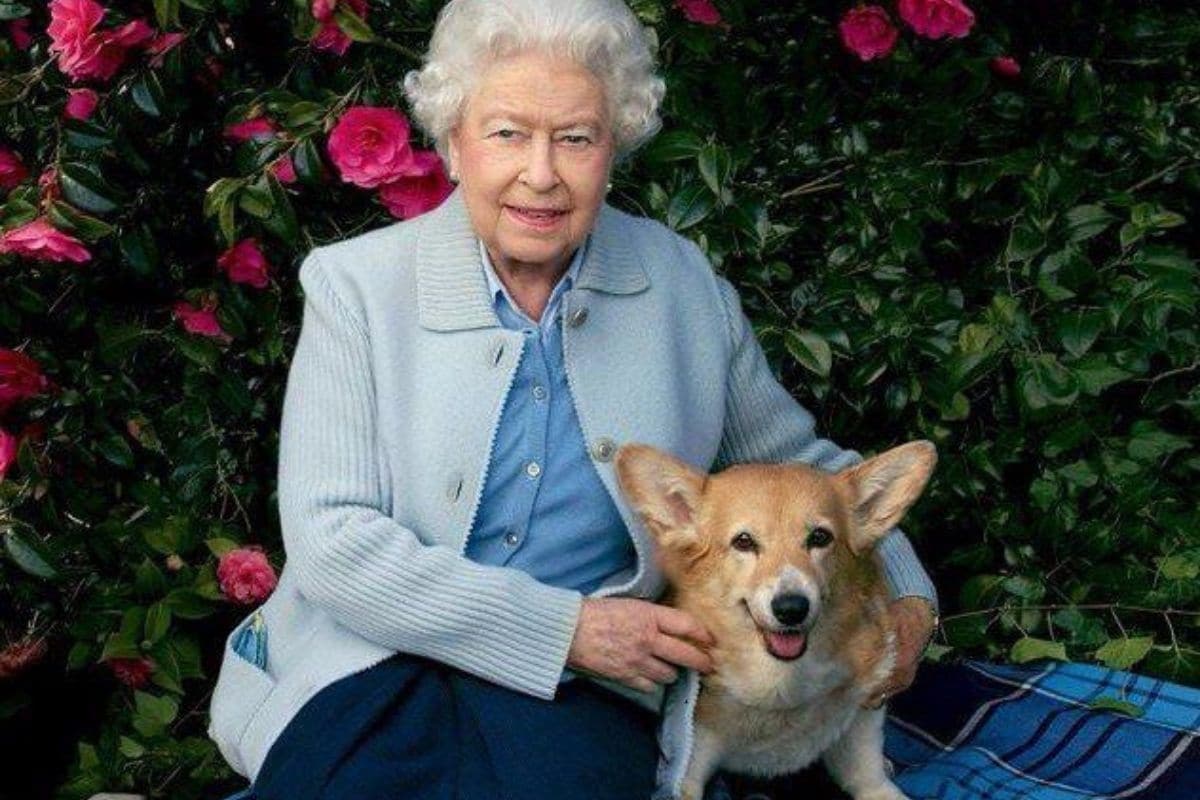 Queen Elizabeth S Corgi Puppies Are Keeping Her Company With Prince Philip In The Hospital