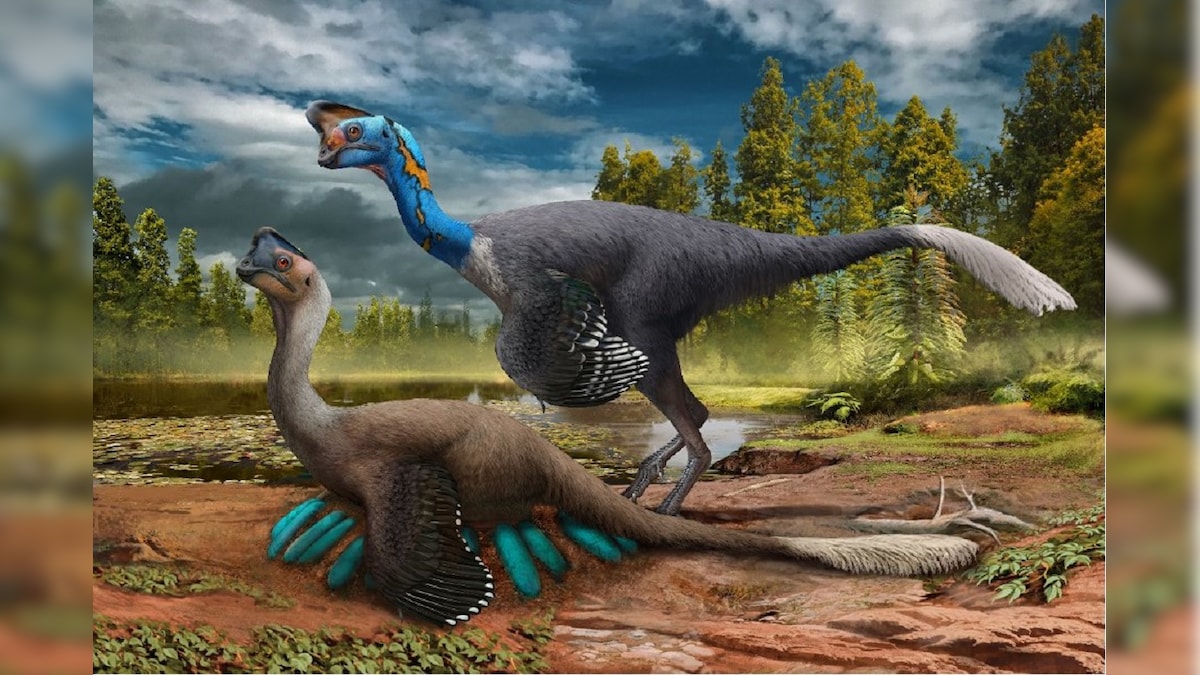 Not Dinosaurs but Mammals Were Main Competitors Among Themselves During Evolution, Finds Study