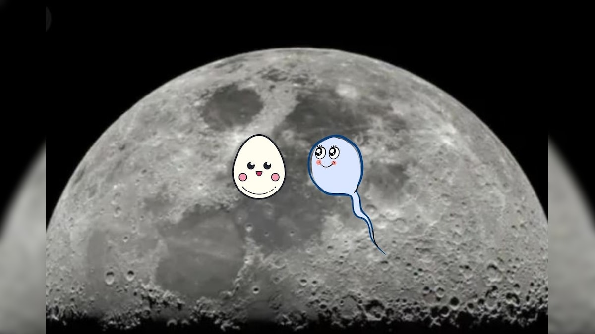 Scientists Want to Send Millions of Sperm and Egg Samples to Moon for Lunar Gene Bank