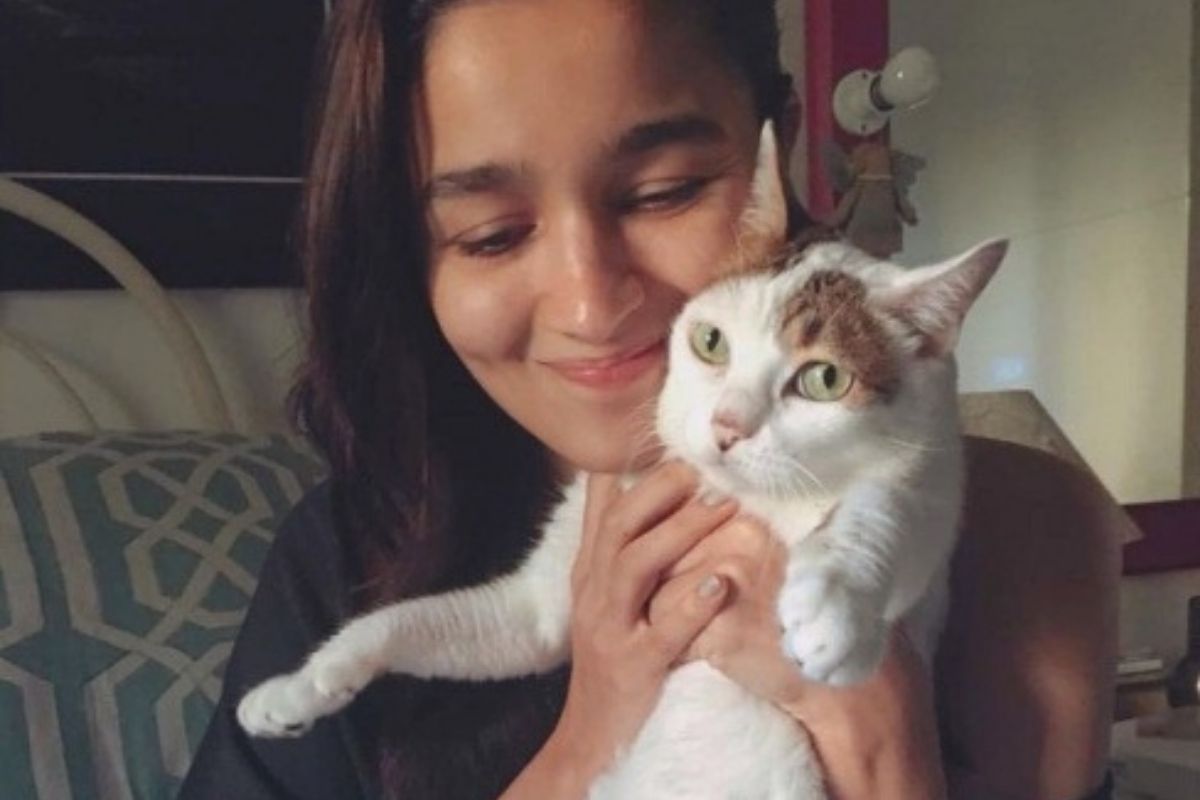 Alia Bhatt to Sunny Leone, Bollywood Celebs Who Adopted Pets Instead of Buying Alia Bhatt to Sunny Leone, Bollywood Celebs Who Adopted Pets Instead of Buying