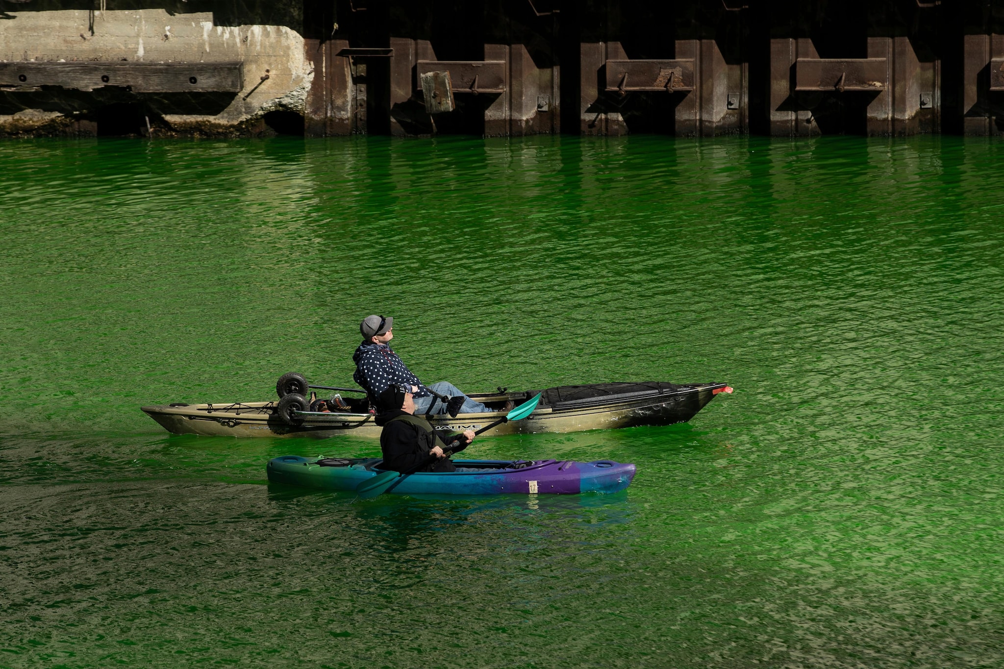 Kayaks on the Chicago River Green, Saint Patrick's Day Stock Photo - Alamy