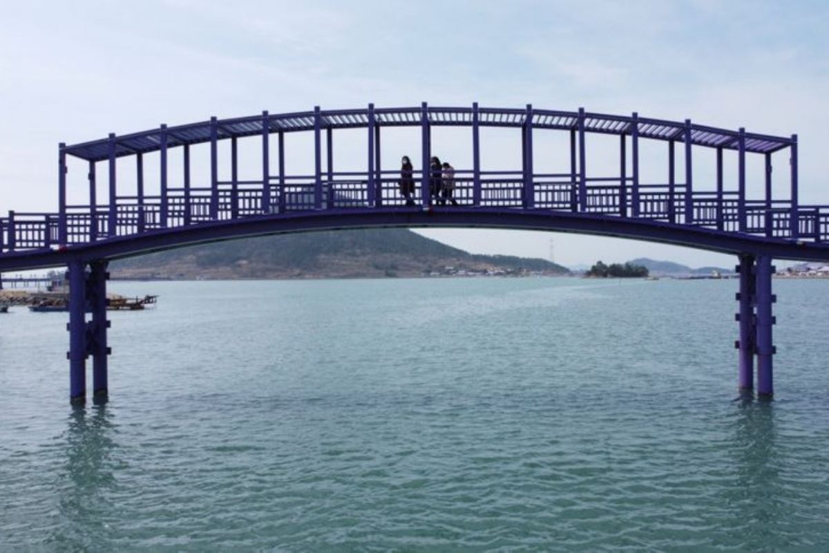 Purple Bridge Korea