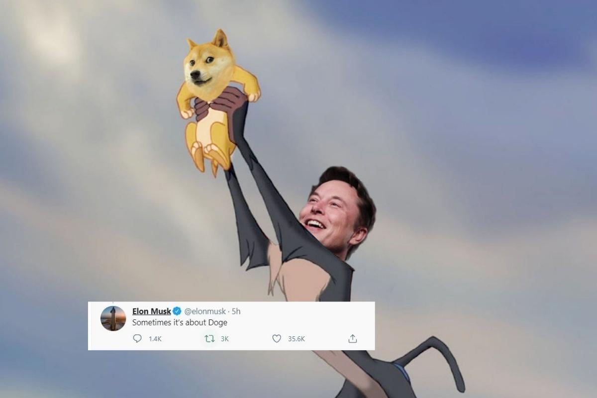 Dogecoin is Worth 10 Cents. Is Elon Musk's Favorite Meme Cryptocurrency the  Next Bitcoin?