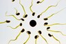 TikTok User Takes DNA Test to Find out He Has 30 Siblings as His Father is Sperm Donor