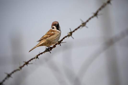 Image for representation. 