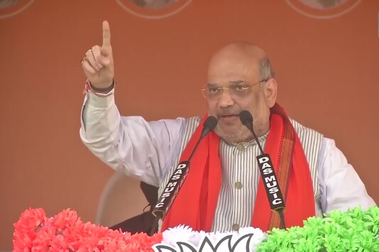 Amit Shah (ANI)