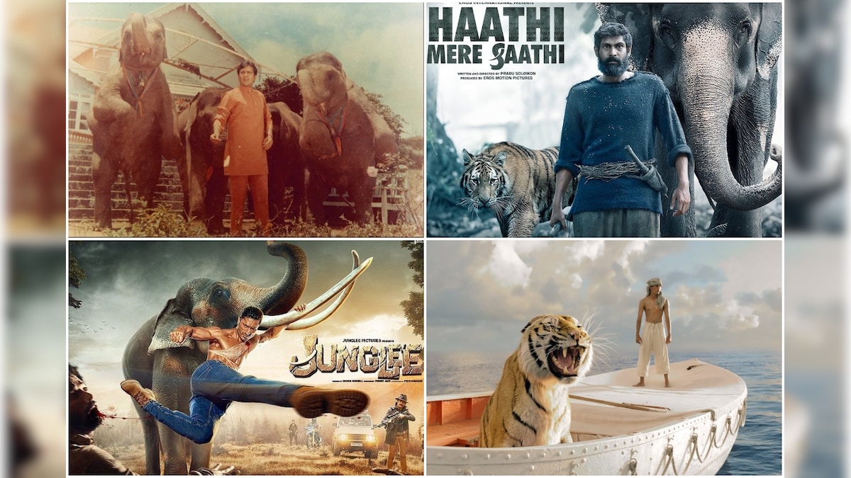 Have Animal Centric Films Lost Their Appeal in Mainstream Indian Cinema?