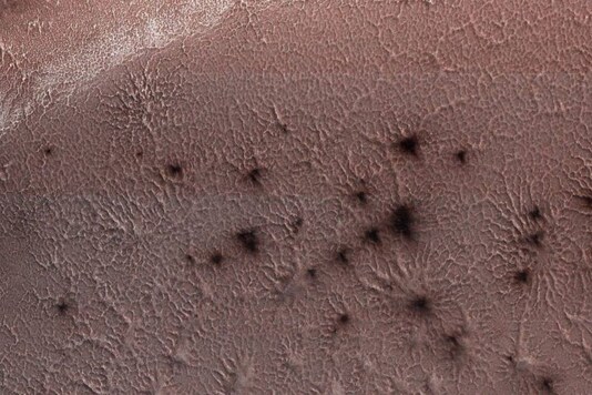 'Spiders on Mars'
(Credit: Twitter)
