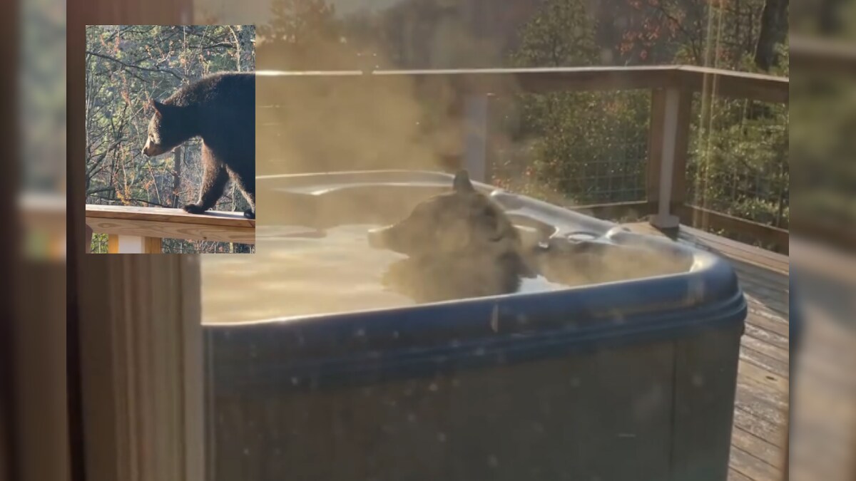 WATCH: Bear Gatecrashes Tennessee Couple's Vacation, Treats Itself With Warm Jacuzzi