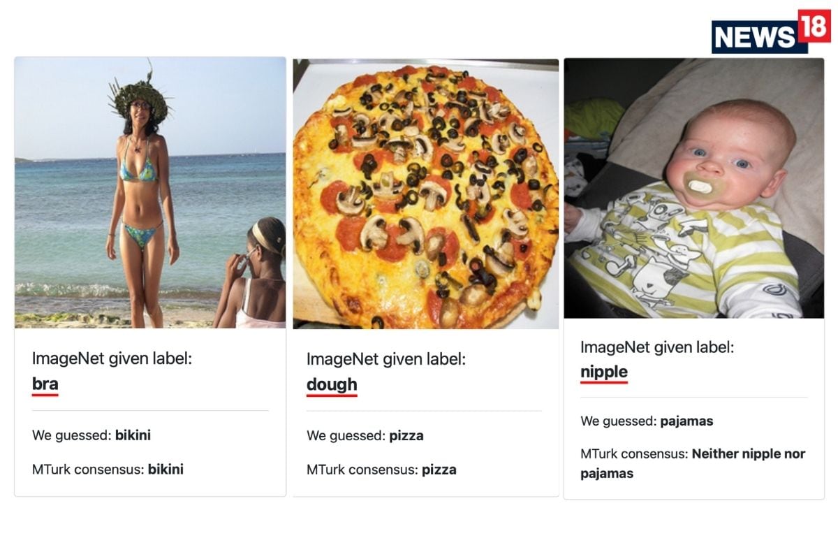 AI Is Getting A Few Things Wrong, Because Humans May Have Incorrectly Labeled A Bunch Of Images