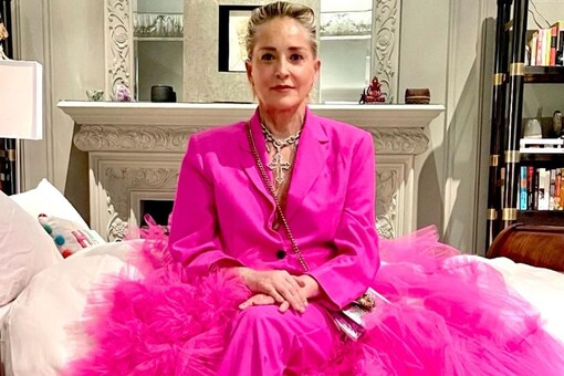 Sharon Stone's controversial scene in Basic Instinct got her under the spotlight. 

