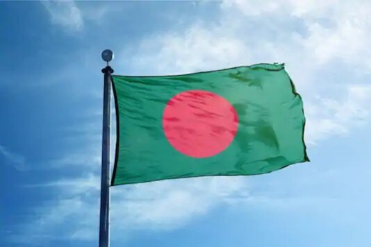 Bangladesh flag: For Representation