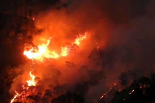 Flames engulfed a forest near Nanital on Friday.  
