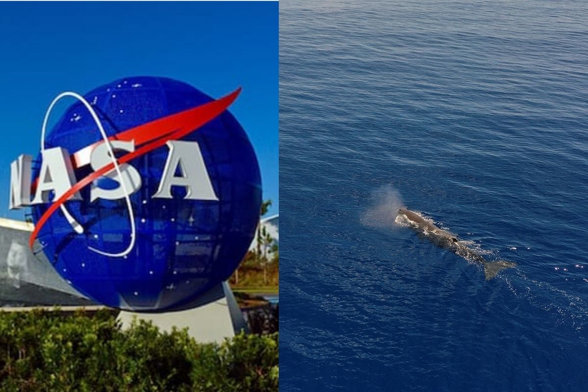 What Did Nasa Originally Stand For