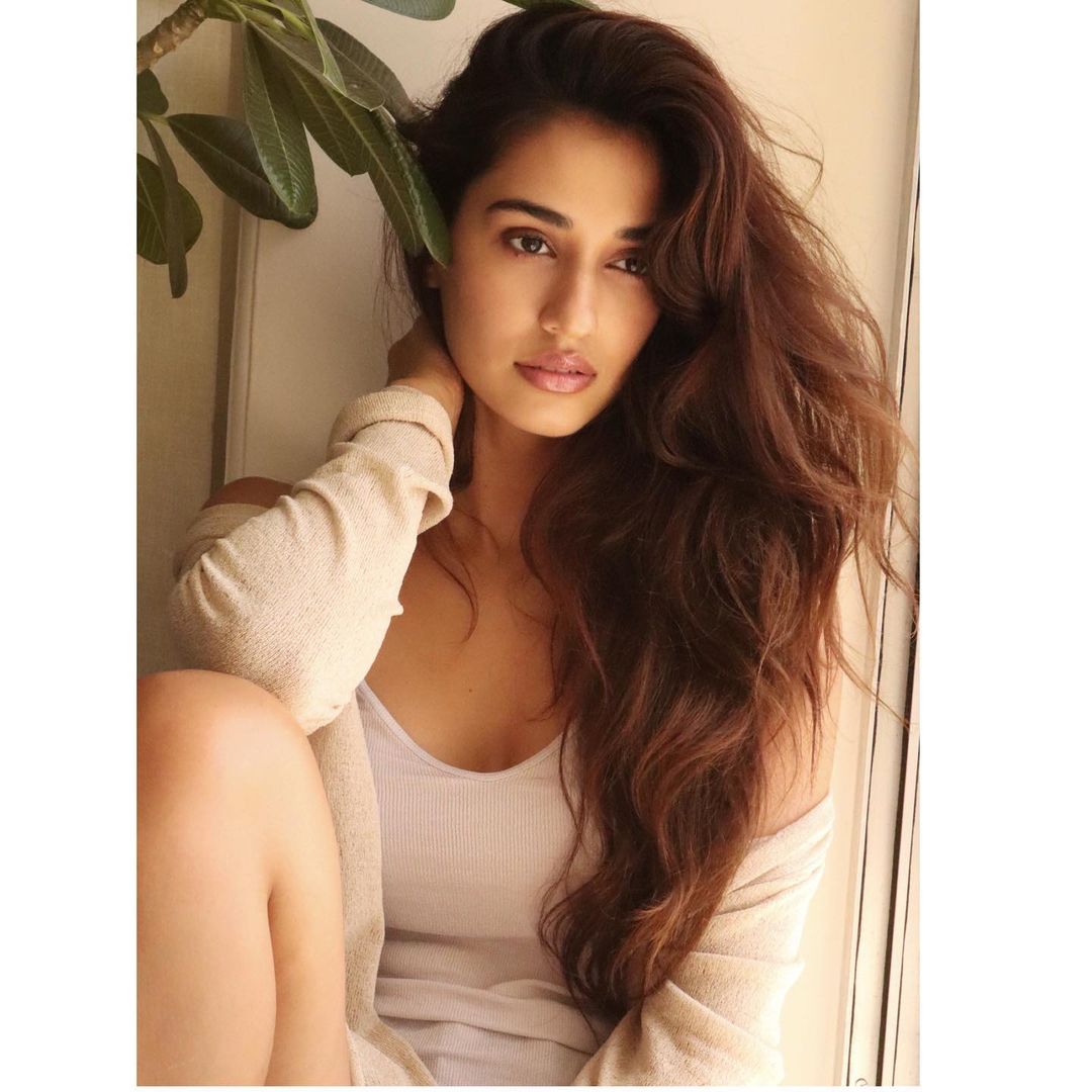 Disha Patani Shares Sultry Pictures And Flaunts Her Toned Body See Her Scintillating Looks News18