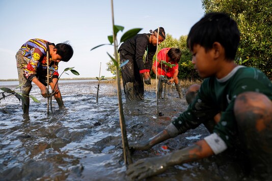 Samsudin, 50, plants mangrove trees with local children at Tiris beach in Pabeanilir village, Indramayu regency, West Java province, Indonesia.

REUTERS/Willy Kurniawan
