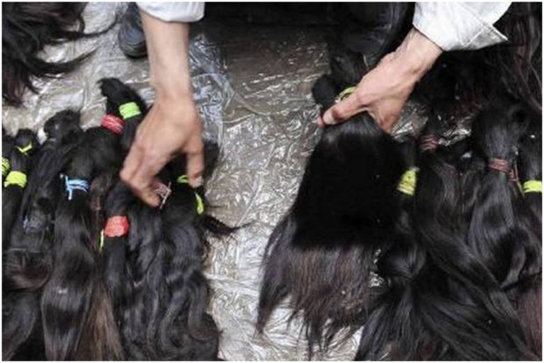 Chinese Human Hair Scam Busted in Hyderabad as Officials Clamp Down on Undervalued Exports Chinese Human Hair Scam Busted in Hyderabad as Officials Clamp Down on Undervalued Exports
