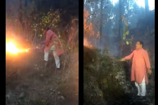 Uttarakhand Minister Harak Rawat Uses a Bush to Douse Forest Fire, Video Goes Viral