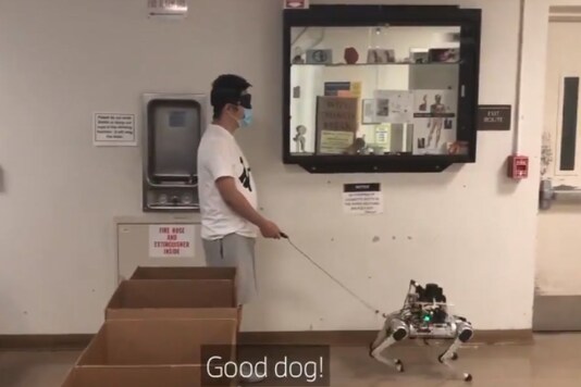 Video grab of the robotic guide dog.
(Credit: Twitter/ New Scientist)