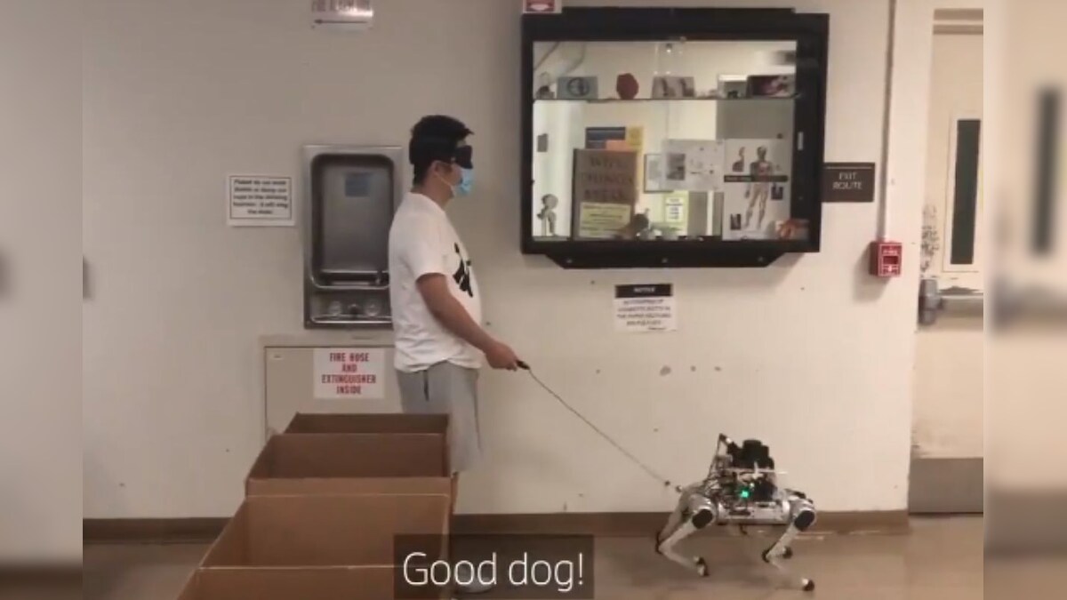 Robotic Guide Dogs Developed by US Scientists to Help Visually Impaired People on Streets