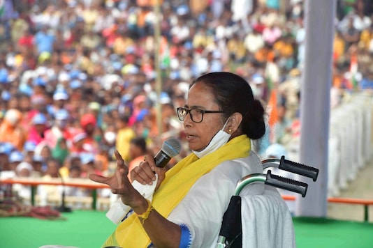 टीएमसी सुप्रीमो ममता बनर्जी ने बंगाल में एक चुनाव प्रचार रैली को संबोधित किया।  (पीटीआई)
