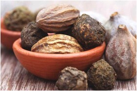 Five Health Benefits of Ayurvedic Gem Triphala