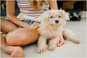 Pets Eased Children's Loneliness in Lockdown: Study