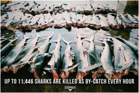 सीस्पिरेसी मूवी फैक्ट पिक