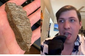 Scientist Licks 3.5 Billion Year Old Space Rock From Mars After Science Twitter Started a Petition For It
