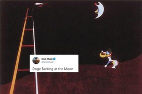 Elon Musk Posted a Painting of Dogecoin and Cryptocurrency's Value is Going 'To the Moon'