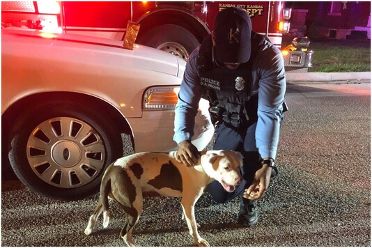 Dog saves human's life in Kansas | Image credit: Facebook