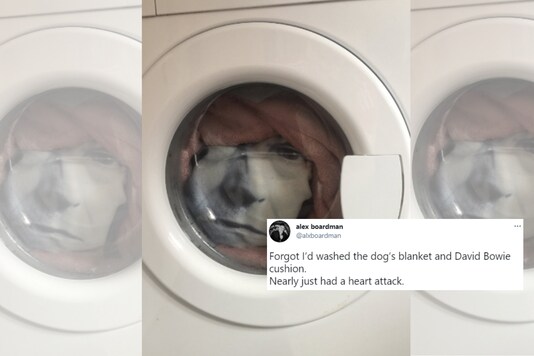 @alxboardman / Twitter. 