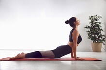 Five Yoga Asanas That Can Help You Stay Fit and Healthy During Work From Home