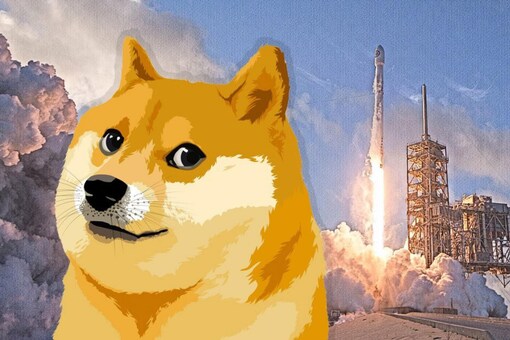dogecoin is creating a frenzy