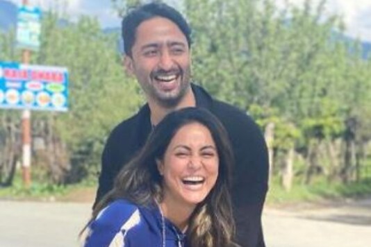 credit - Hina Khan Instagram