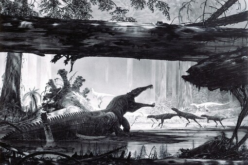 A mass extinction some 200 million years ago wiped out many of the species on the planet and helped crown the dinosaurs as the rulers of the world. (Image for representation./REUTERS)