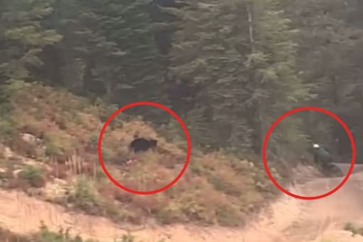 Video grab of black bear chasing down man in Montana.
(Credit: Facebook)
