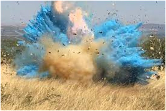 Explosion at Gender Reveal Party Sets off Earthquake-like Tremors in UK