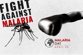 World Malaria Day 2021: Preventive Measures for Malaria You Can Follow by Staying Indoors