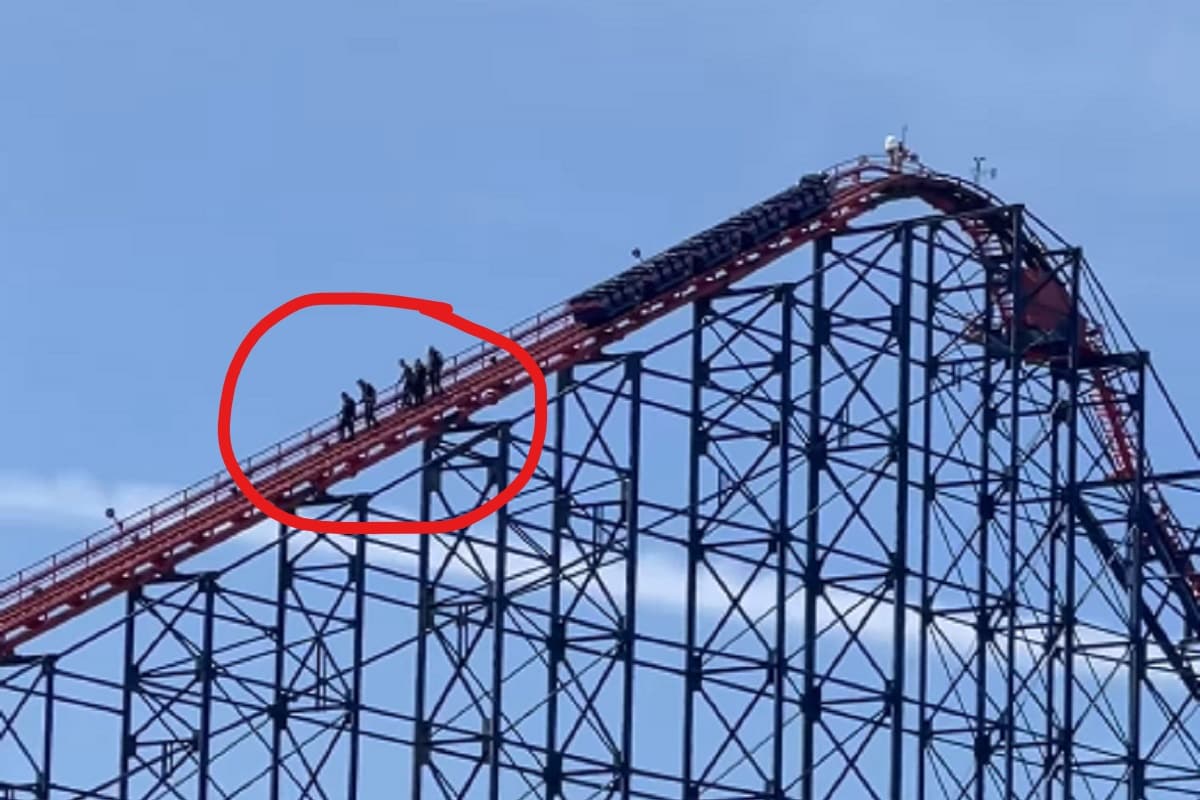 Rollercoaster Riders in UK Forced to Walk Down 200 Feet After Ride Breaks  Down Mid-air