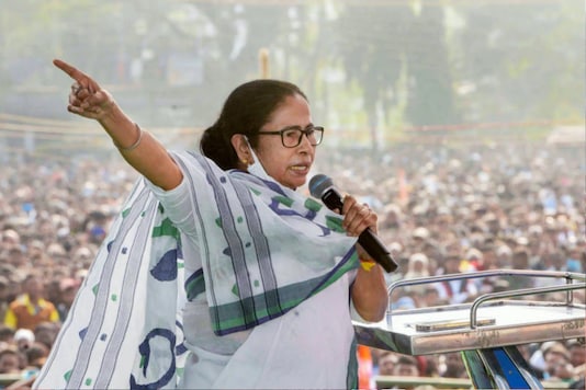 West Bengal: Mamata Banerjee during poll campaign.