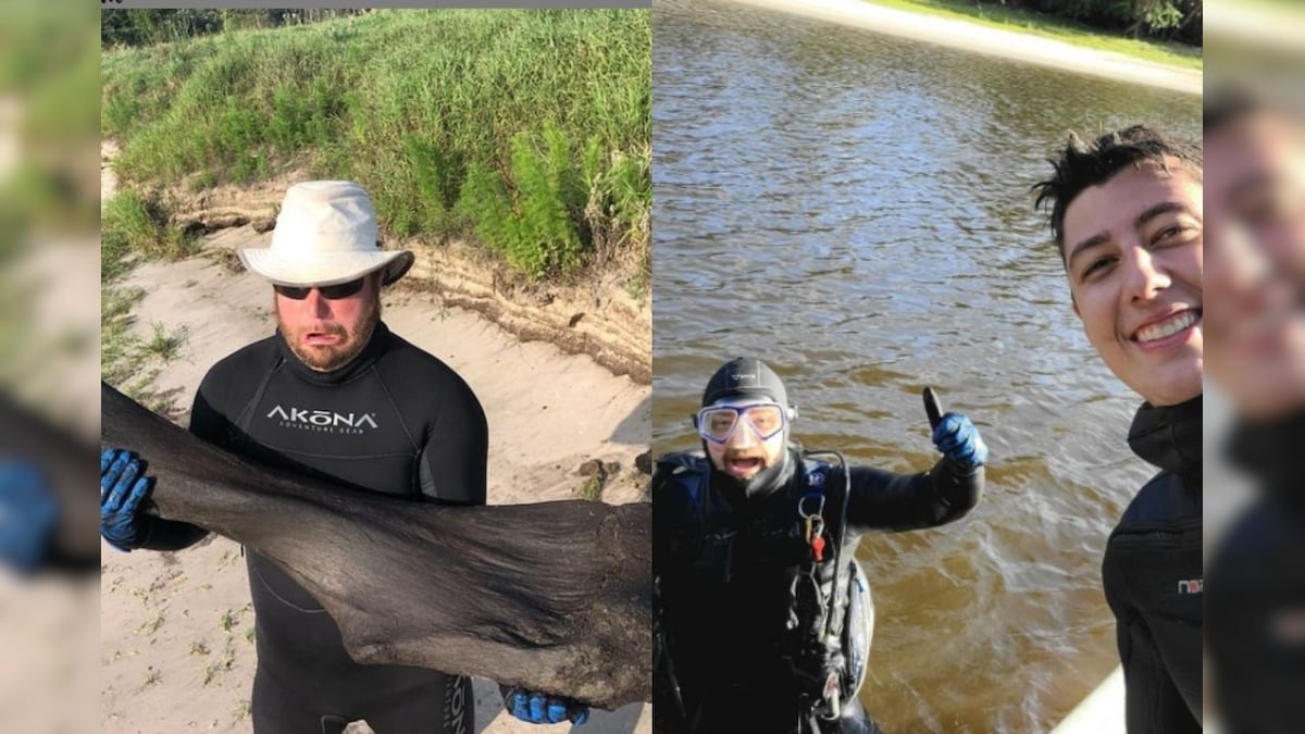 Paleontology Enthusiasts in Florida Discover Giant Prehistoric Mammoth Bone, Other Fossils While Diving